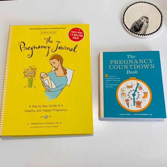 Other - (2) Pregnancy Journal Pregnancy Countdown Books